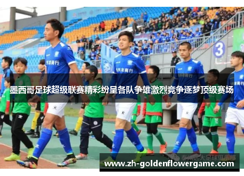 墨西哥足球超级联赛精彩纷呈各队争雄激烈竞争逐梦顶级赛场