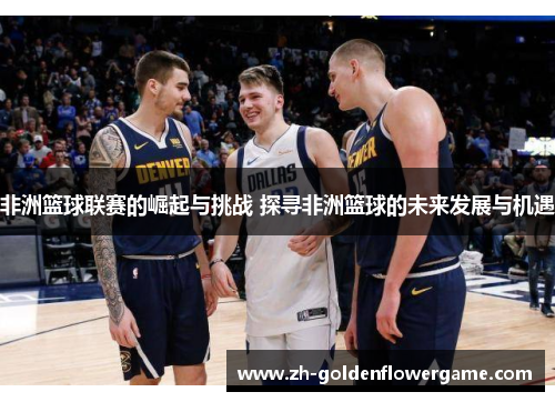 非洲篮球联赛的崛起与挑战 探寻非洲篮球的未来发展与机遇