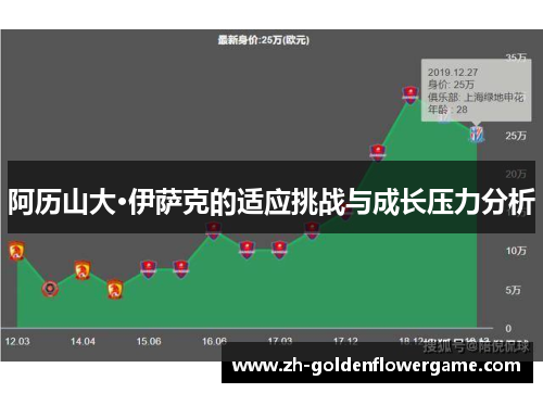 阿历山大·伊萨克的适应挑战与成长压力分析 阿历山大·伊萨克的适应挑战与成长压力分析